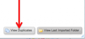 Screenshot of the "import completed" box. An arrow points to the "View Duplicates" button.