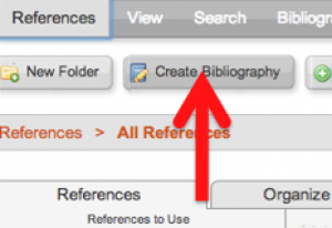 Screenshot showing the position of the "Create Bibliography" button under the "search" menu and above the "References" tab.