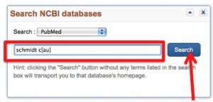 A screeshot showing the entry of -- schmidt c[au] -- in the search box. An arrow points to the "search" button.