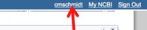 After you login links to your MyNCBI-usernme, "My NCBI" and "Sign Out" appear at the upper, right-hand side of the PubMed homepage. This screenshot shows an arrow pointing to the username link.