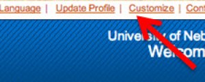 Screenshot of the "Customize" link in the upper right hand corner of the page above the "welcome ____" message.