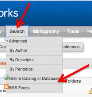 screenshot showing the position of the "Search" menu in the grey menu bar and the position of the position of the "Online Catalog and Database" option within the "Search" menu.