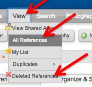 A screenshot of the "View" menu. Arrows indicate the positions of the "All references" and "Deleted References" options.