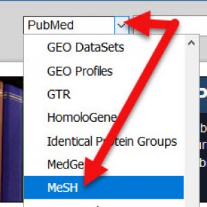 Screenshot of the drop-down menu next to the PubMed search box.