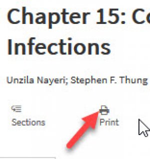 Screenshot of the "print" icon
