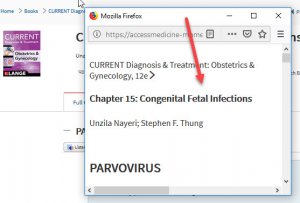 Screenshot of the print pop-up