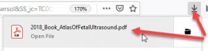 A screenshot showing the use of the Firefox broser's download arrow to locate and open the downloaded book.