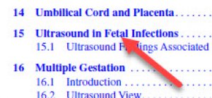 A screenshot of the section of the table of contents containing chapter 15 "Ultrasound in fetal infections"