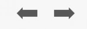 A screenshot of the forward and reverse arrows that appear under each instruction screen.