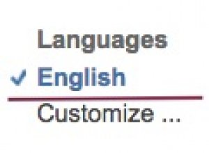 Screenshot showing the check mark in front of the "English" filter