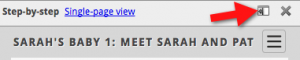 A screenshot of the upper edge of the left-hand panel of this window. An arrow points to the "floating guide" icon.