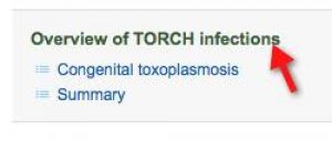Screenshot of search results with an arrow pointing to the "Overview of TORCH infections" article.