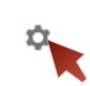 A screenshot of the "cogwheel" icon.